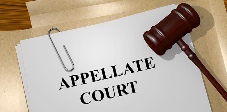 Paperwork-About-Appeals-Process-Surrounded-by-Gavel