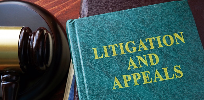 The Essentials of the Appellant’s Brief