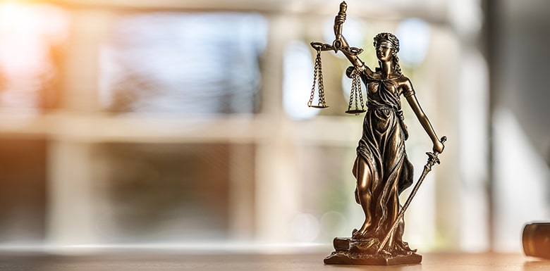 What is the Substantial Evidence Standard?